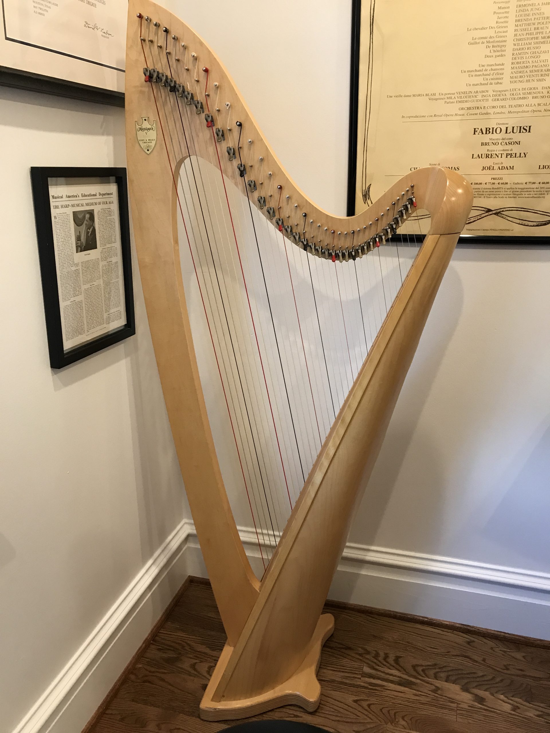 Troubadour Lever Harp for Rent